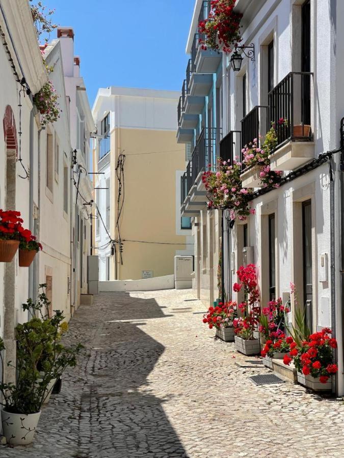 Gaivota Sesimbra